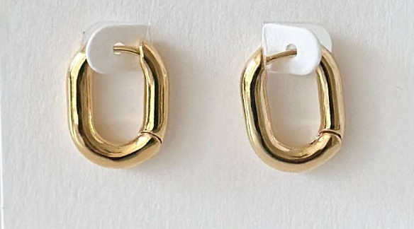 Oval Hinge Hoop Earrings