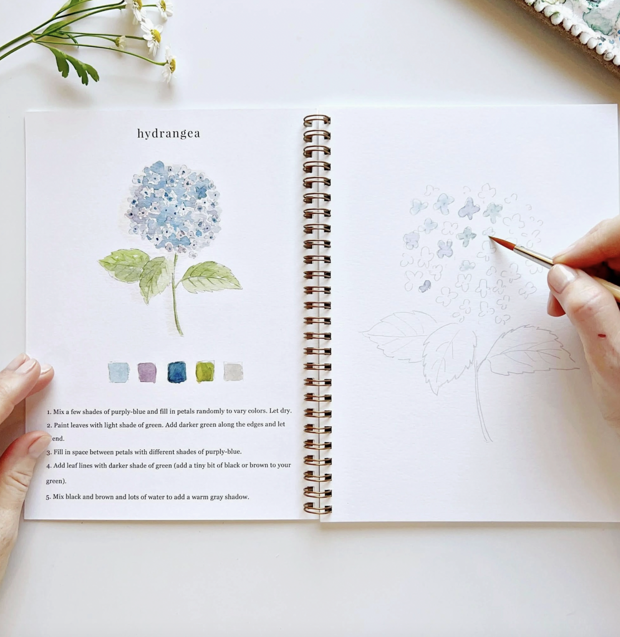 Flowers Watercolor Workbook