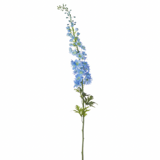 Delphinium Stem