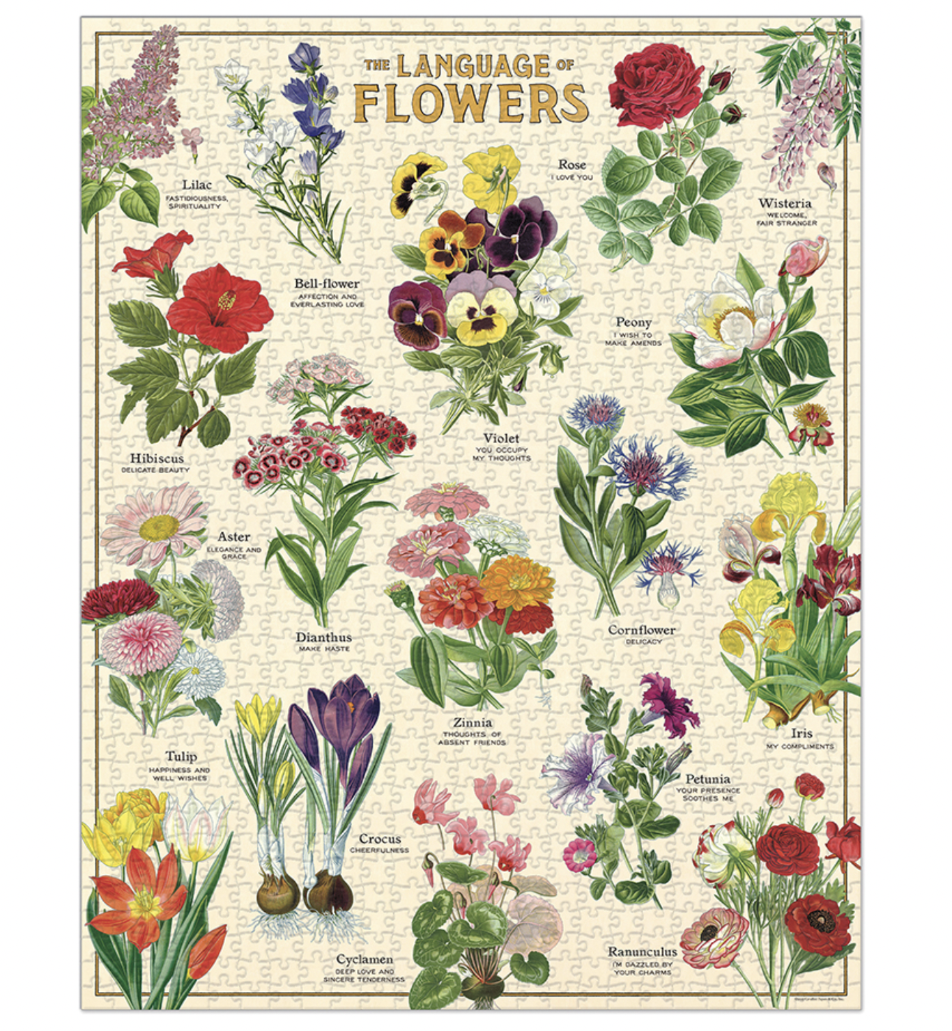 Language of Flowers Puzzle