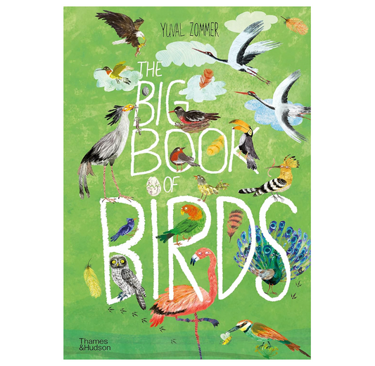 The Big Book of Birds
