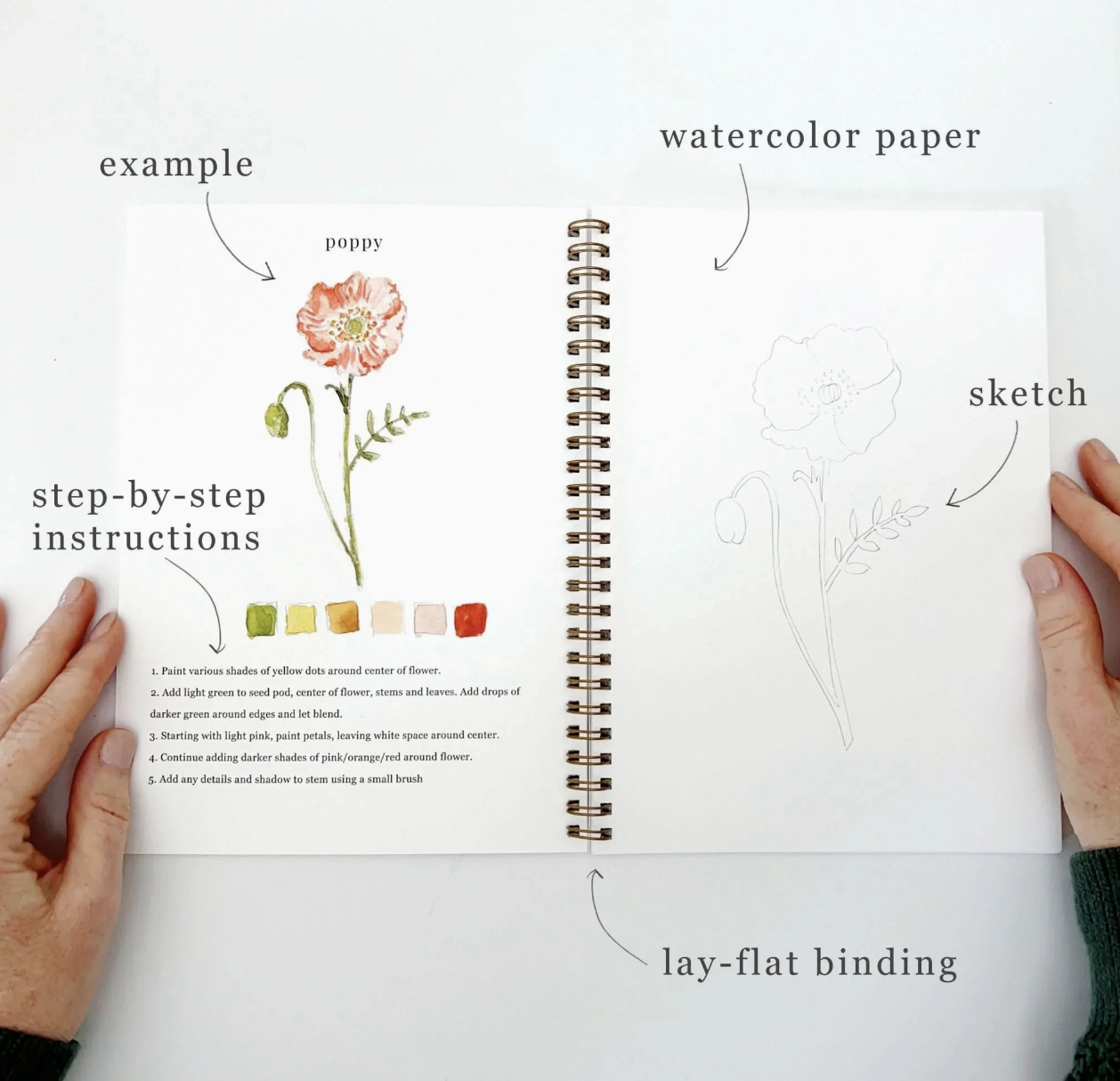 Flowers Watercolor Workbook