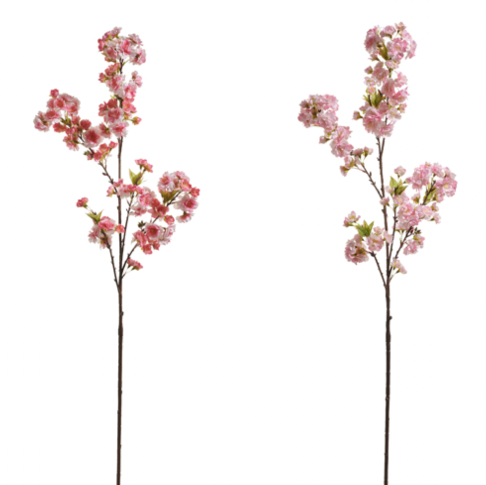 Cherry Blossom Branch