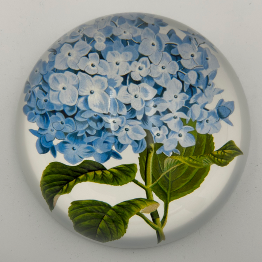 Blue Hydrangea Decorative Weight