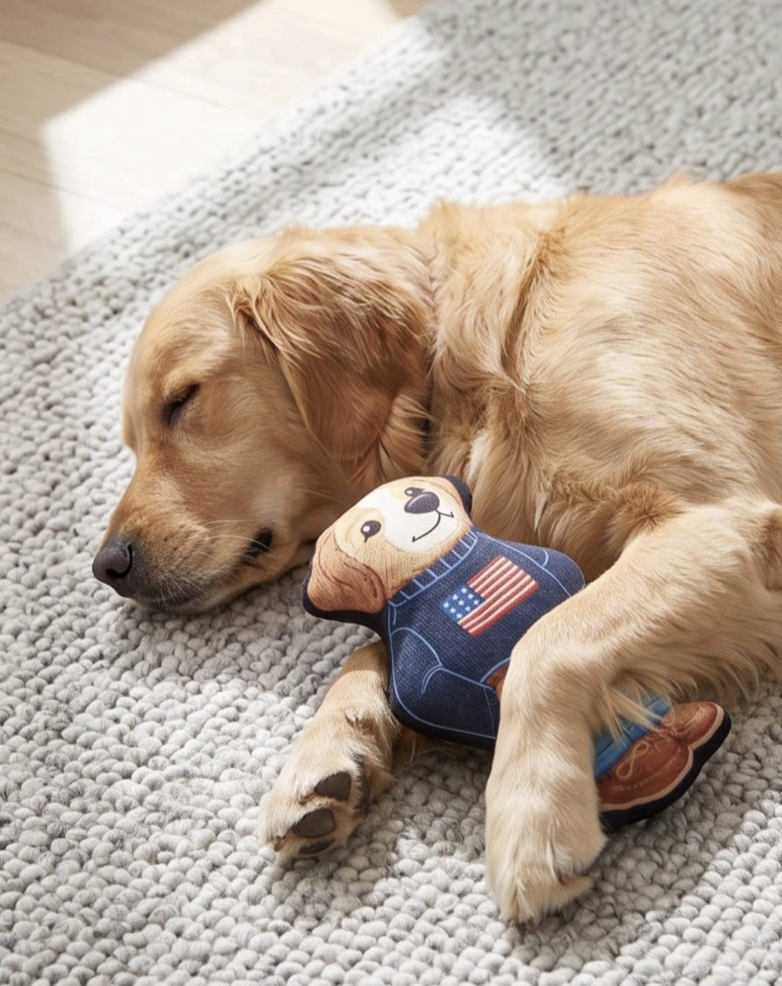 Ruff Lauren Teddy Dog Dog Toy