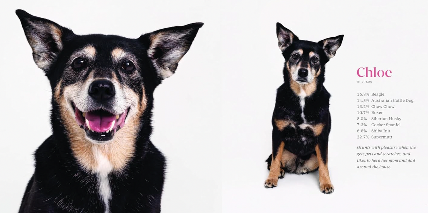 What Kind of Dog is That?