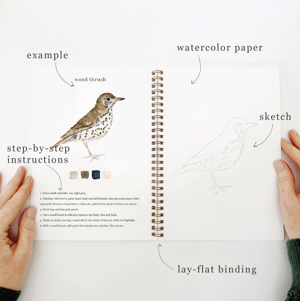 Birds Watercolor Workbook