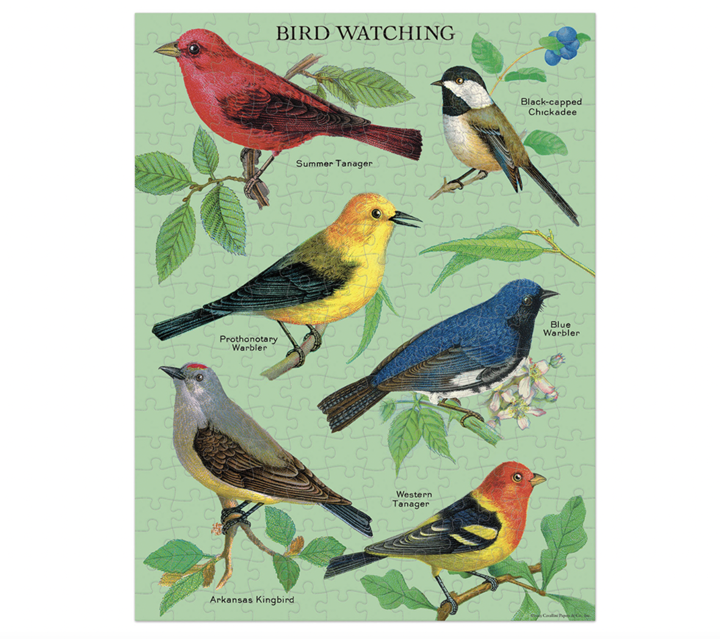 Bird Watching Mini Puzzle