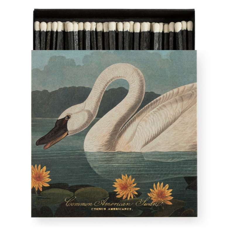 Common American Swan Matches