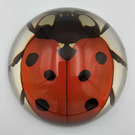 Ladybug Decorative Weight