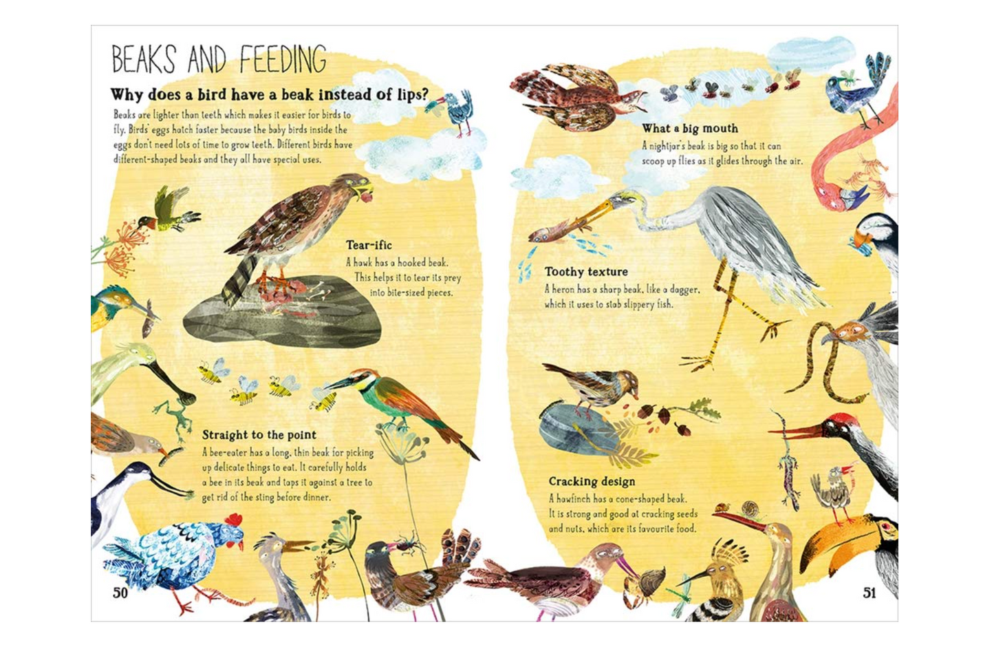 The Big Book of Birds