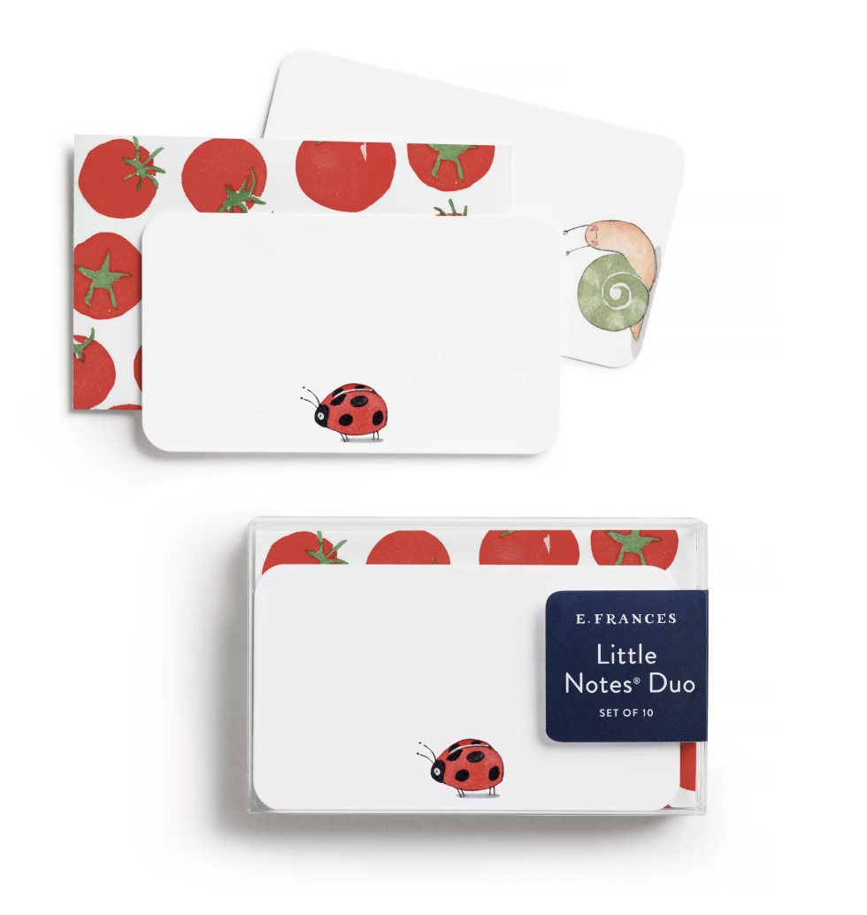 Ladybug Little Notes Duo Set