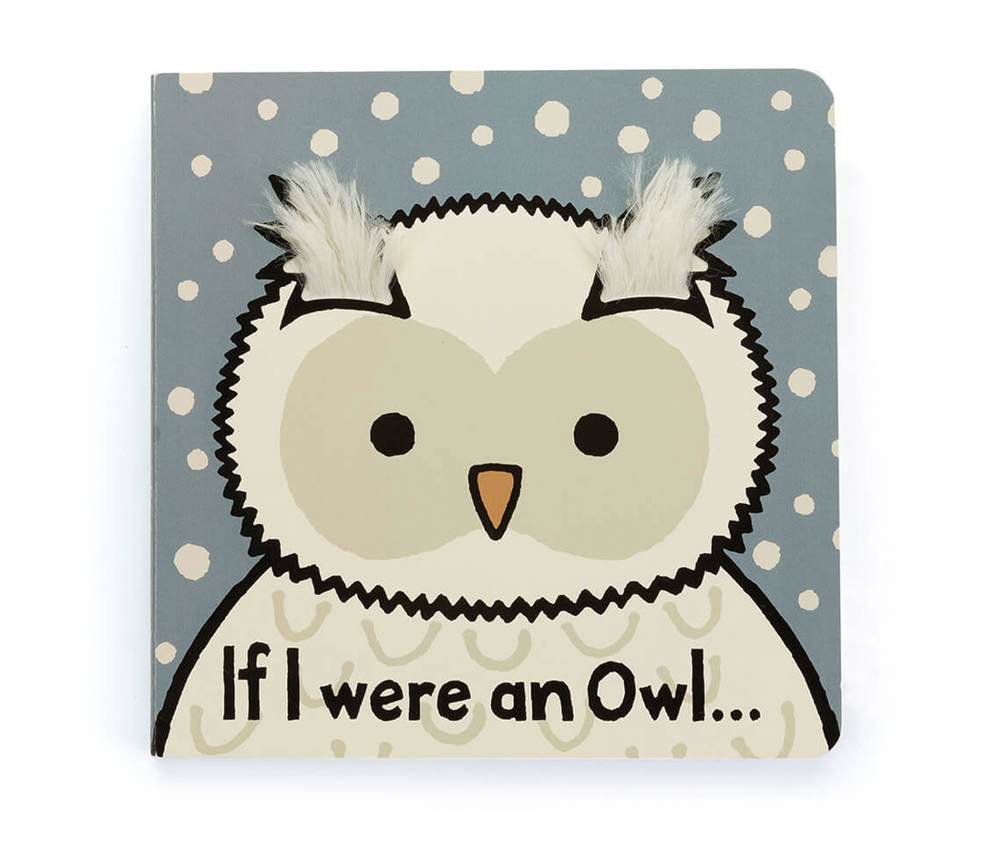 If I Were An Owl Book
