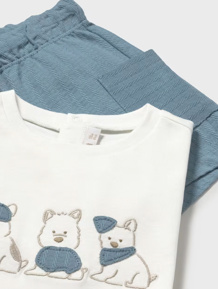Puppy T-Shirt + Short Set