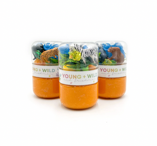 Zoo Grab & Go Dough Jar