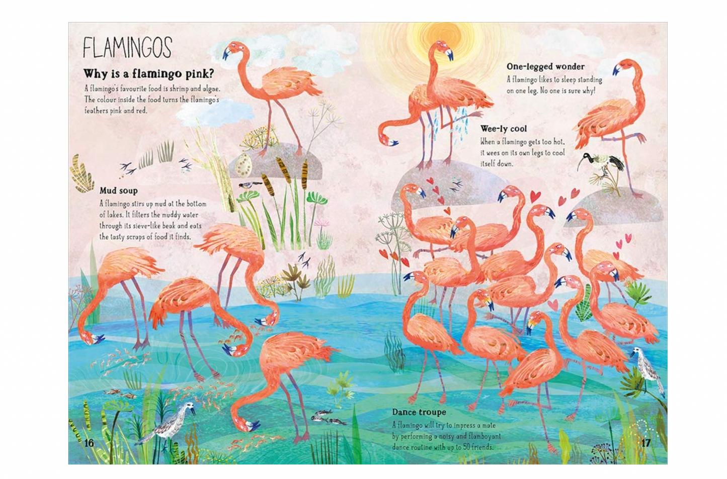 The Big Book of Birds