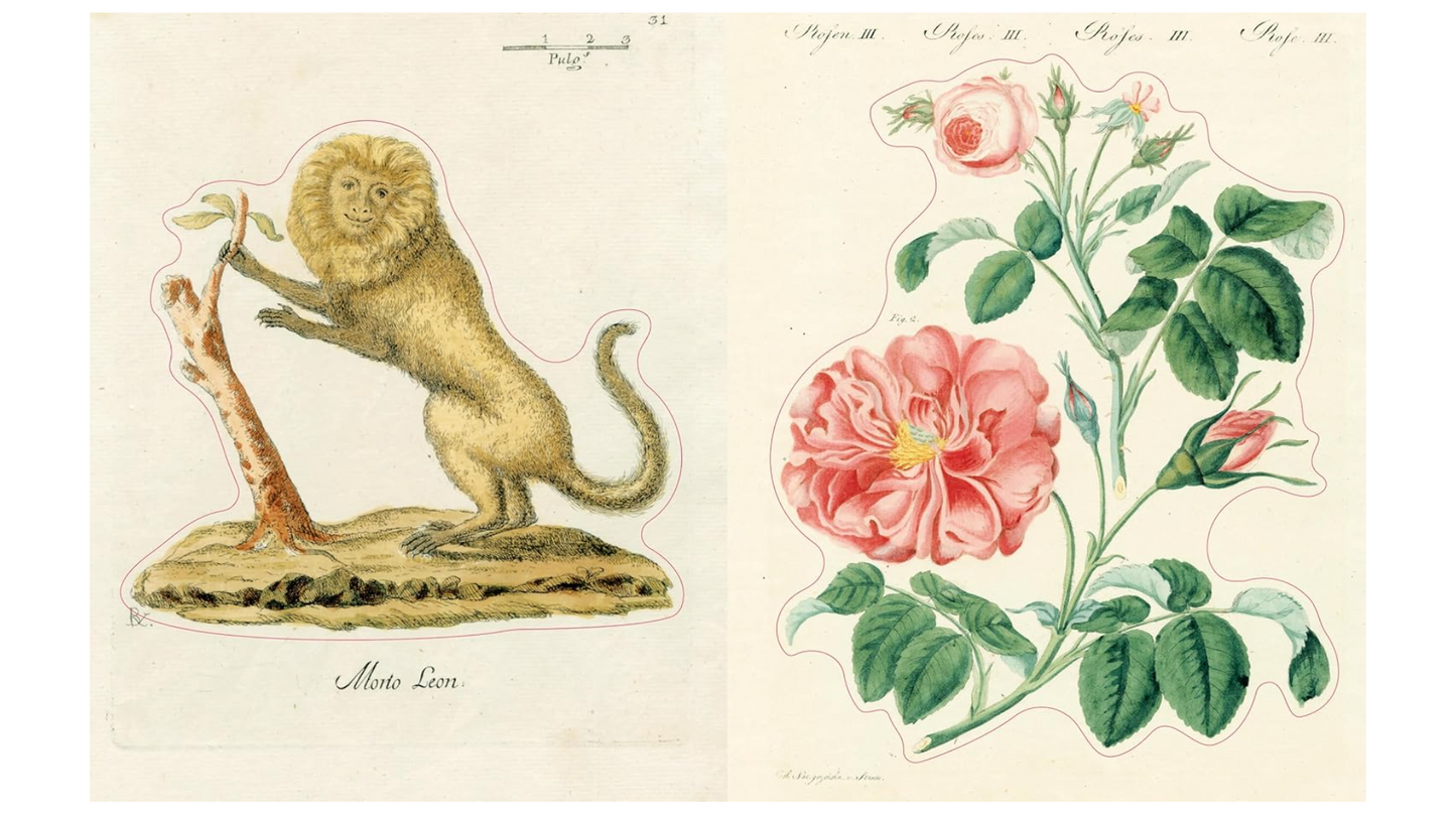 John Derian Sticker Book II