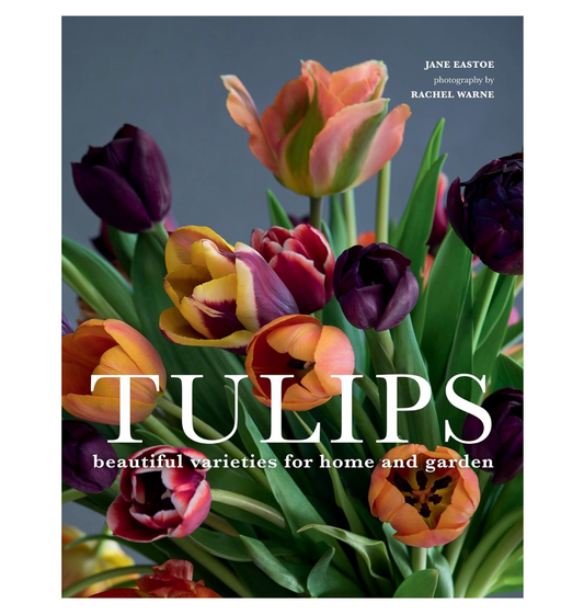 Tulips: Beautiful Varieties for Home and Garden