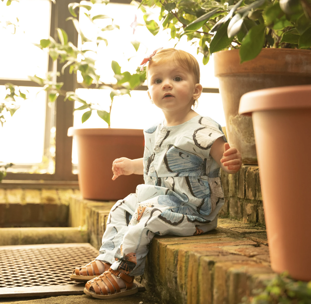 Blue Vintage Butterflies Alexandra Jumper