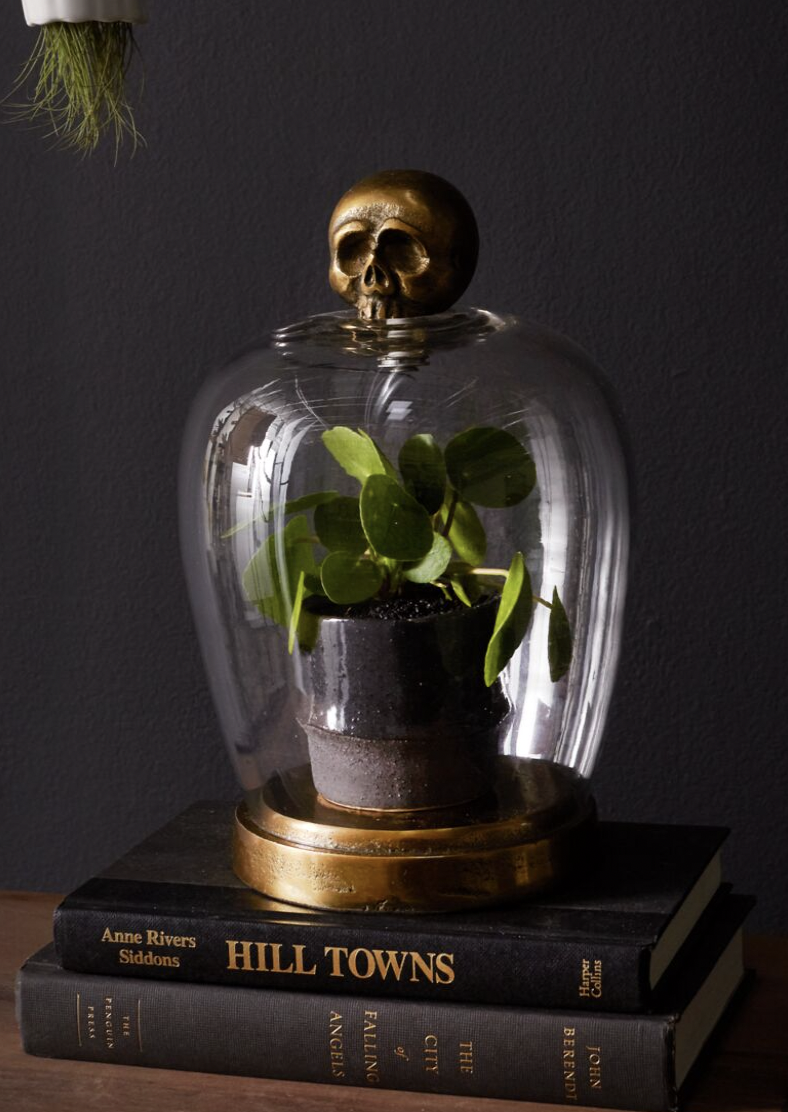 Skull Cloche