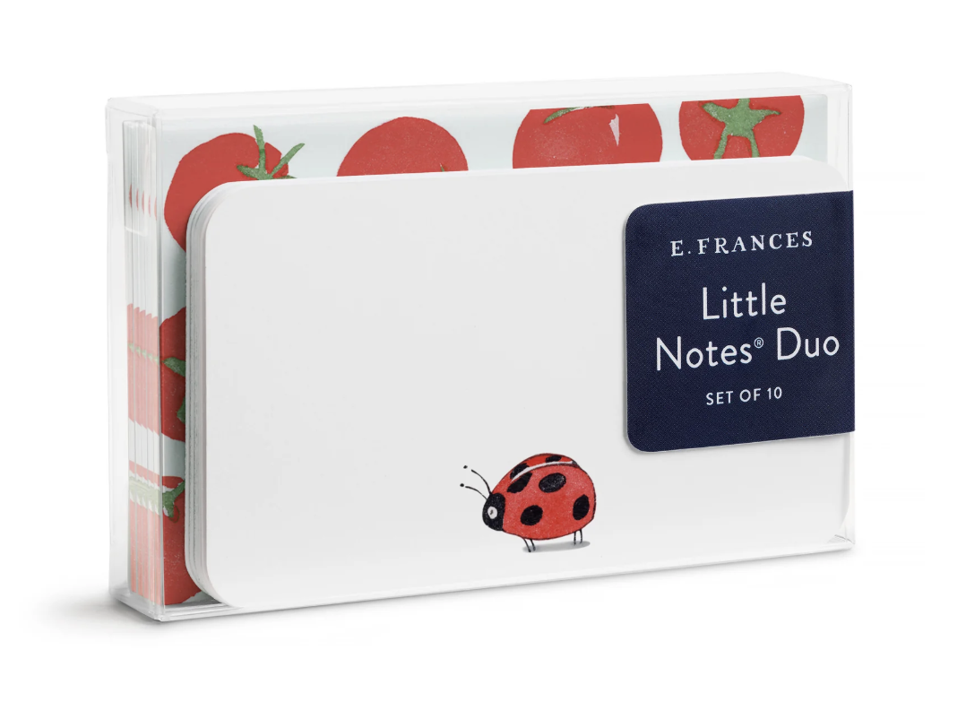 Ladybug Little Notes Duo Set