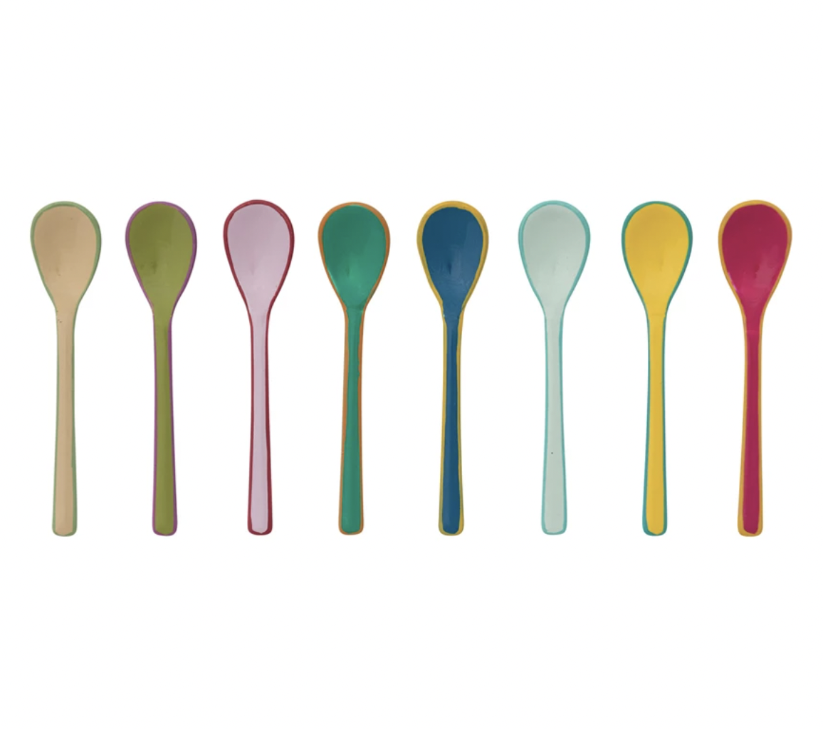 Enameled Stainless Steel Salt Spoon with Colored Edge