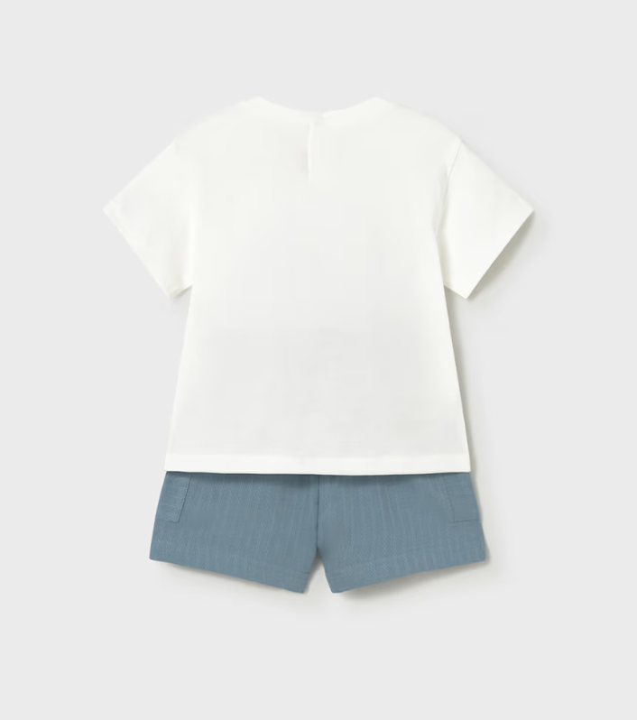 Puppy T-Shirt + Short Set