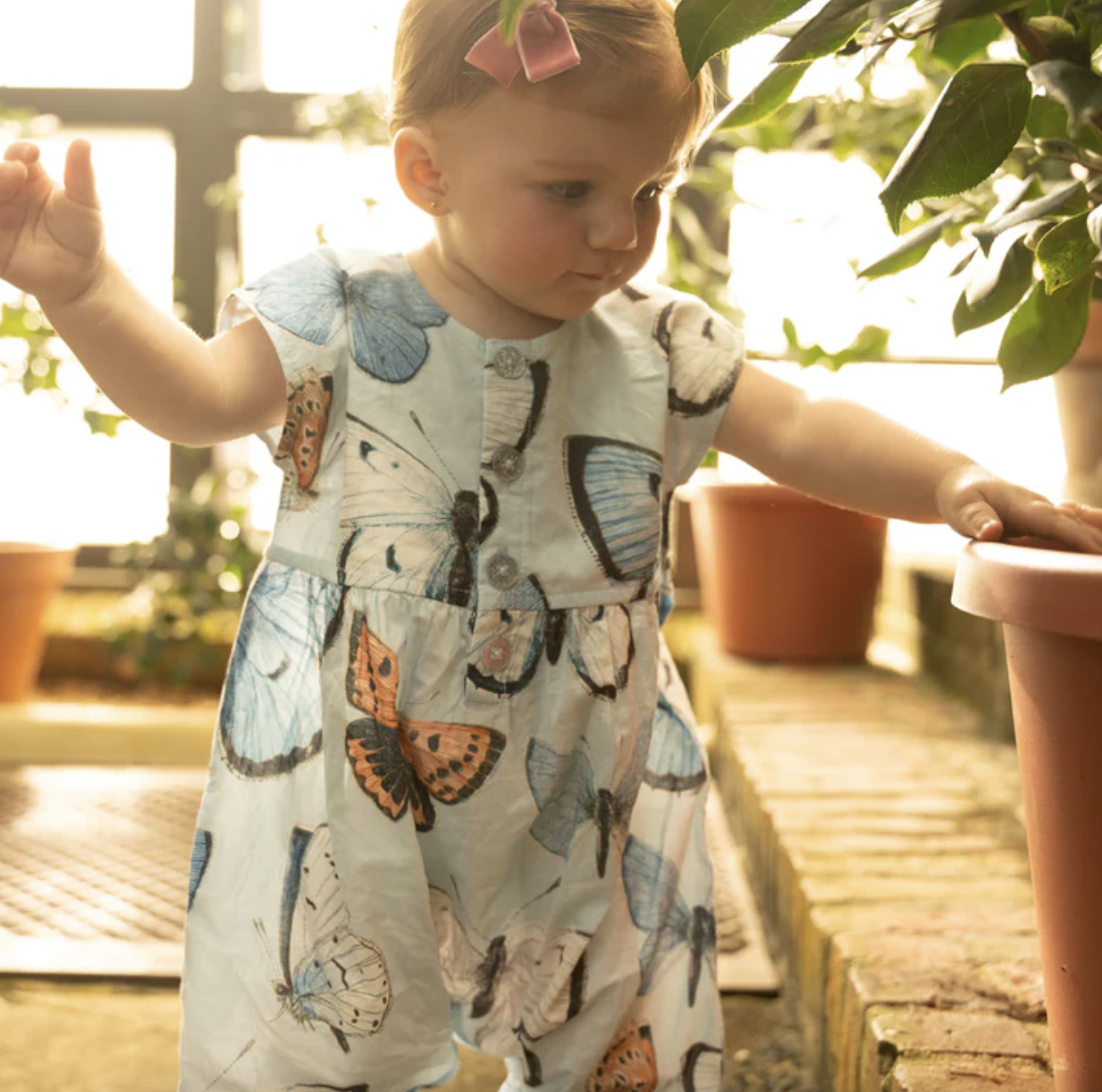 Blue Vintage Butterflies Alexandra Jumper