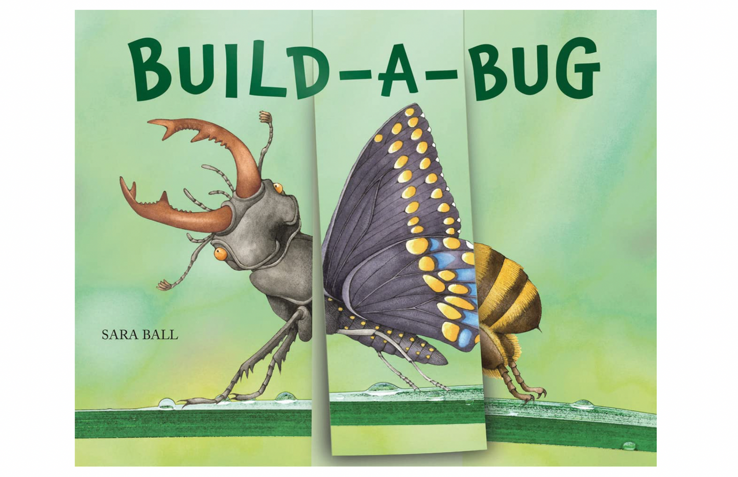 Things Insects Build Build-a-Bug: Make Your Own Wacky Insect! – Hiles Two