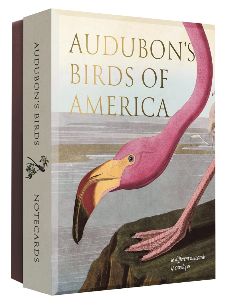 Audubon's Birds of America: Notecard Set