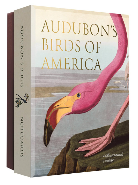 Audubon's Birds of America: Notecard Set