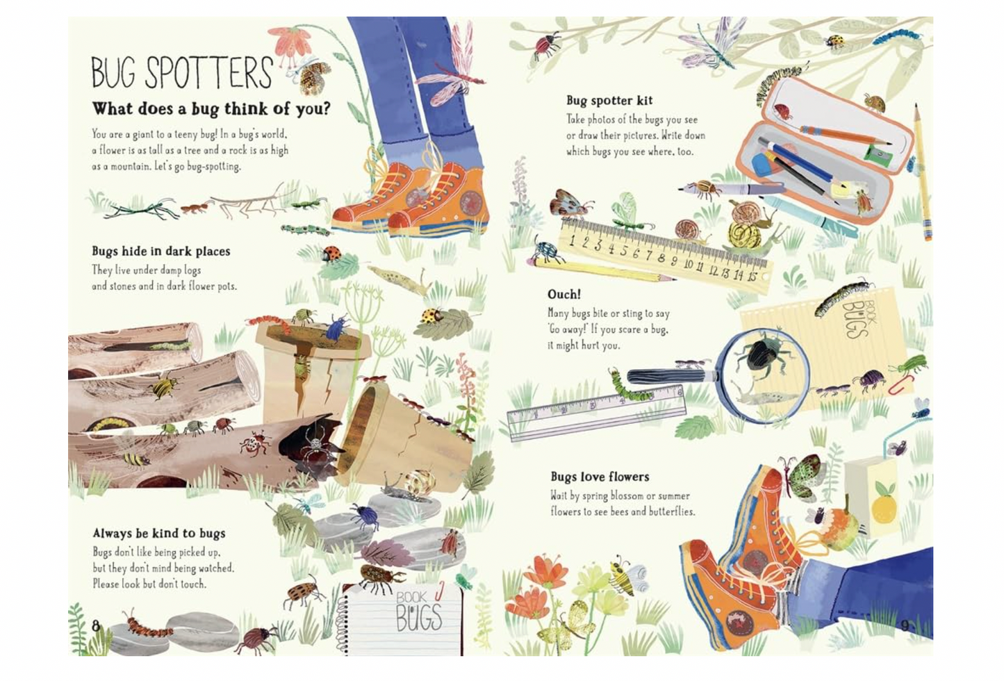 The Big Book of Bugs: 10th Anniversary Edition
