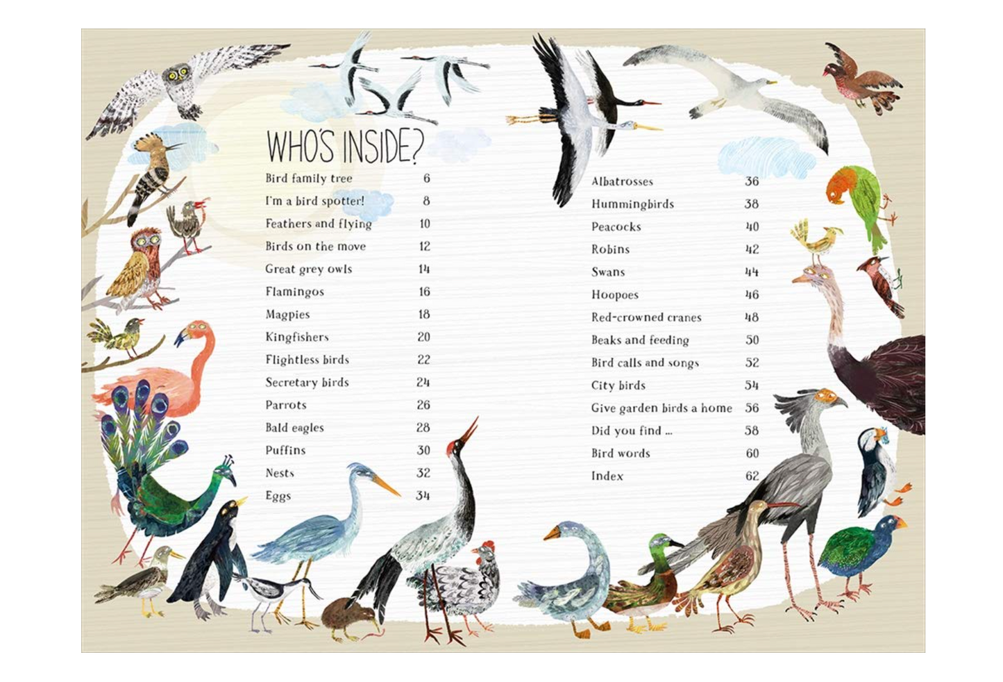 The Big Book of Birds