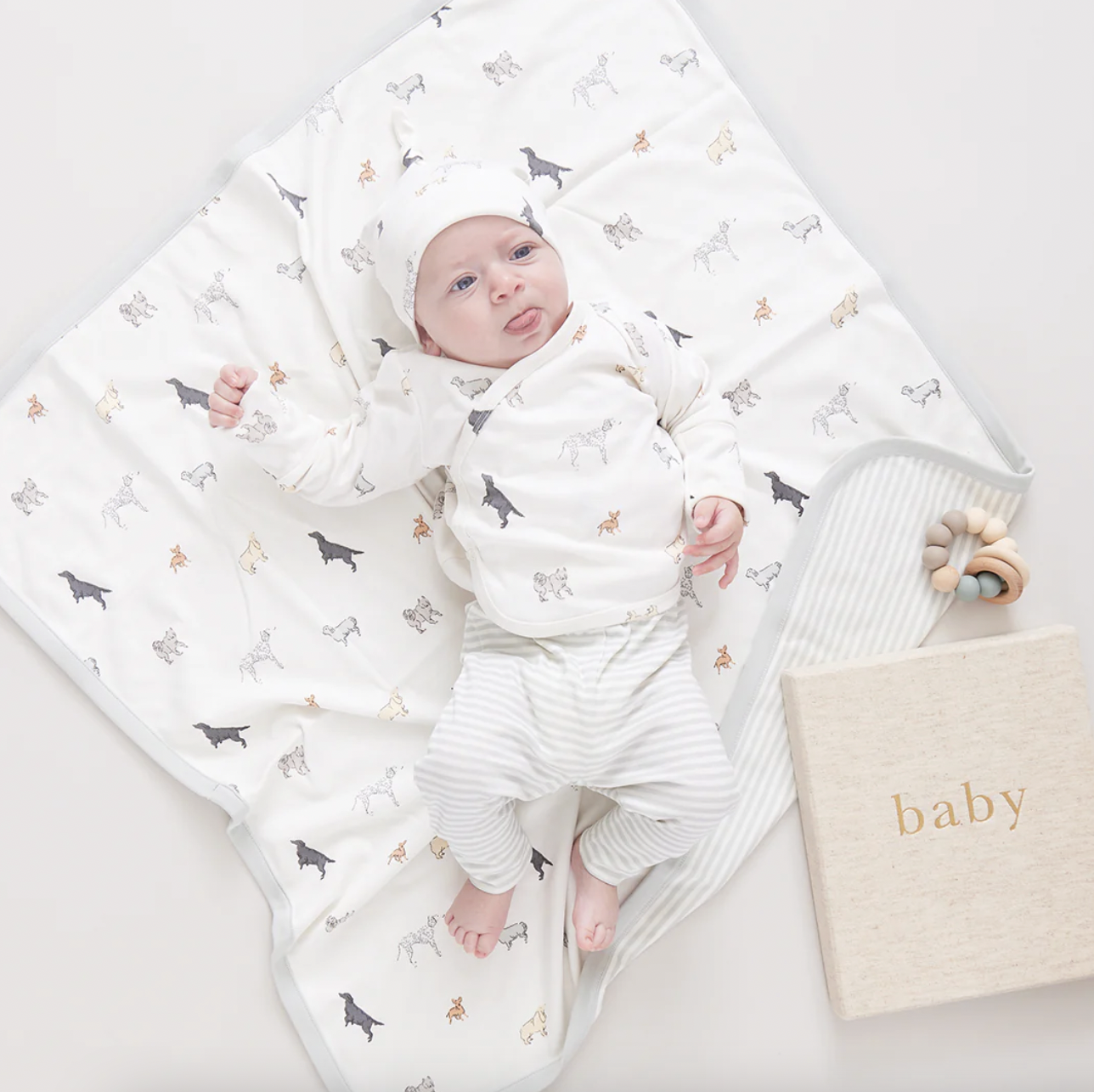 Tiny Dogs Nesting Box Baby Take Home Set