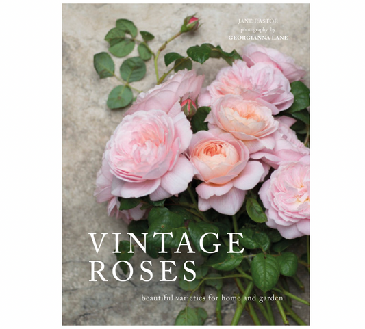 Vintage Roses