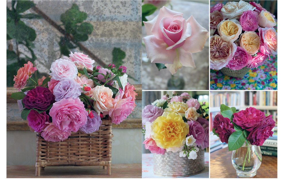 Charlotte Moss Flowers – Hiles Two