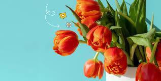 F3902200 Orange Tulips