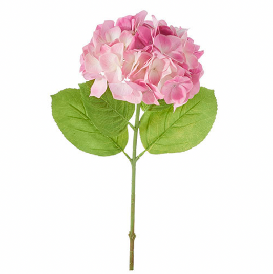 Pink Hydrangea Stem