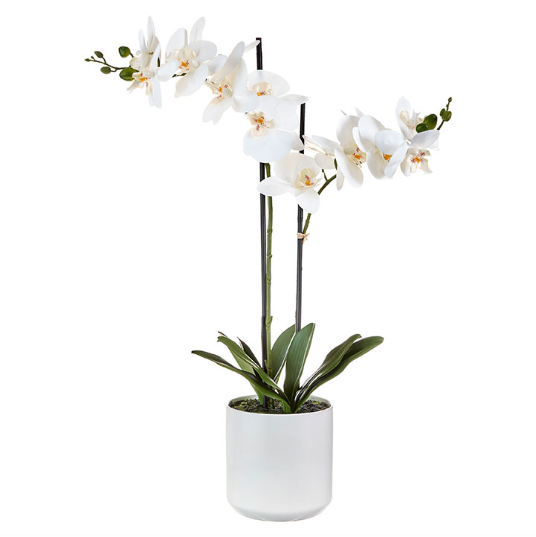 Real Touch Potted Orchid