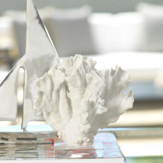 White Palawan Coral on Acrylic Base
