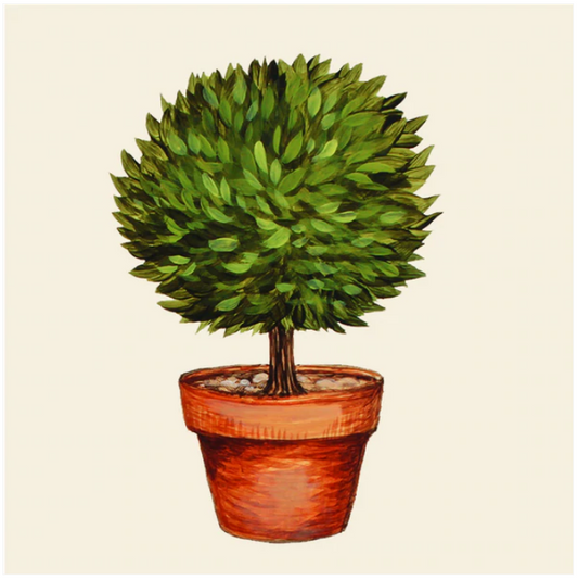 Topiary Cocktail Napkins