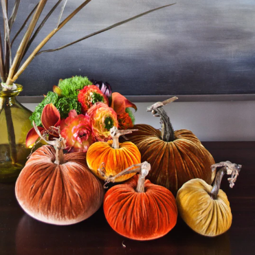 Bittersweet Plush Pumpkins