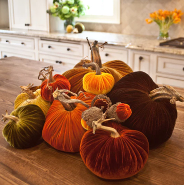 Bittersweet Plush Pumpkins