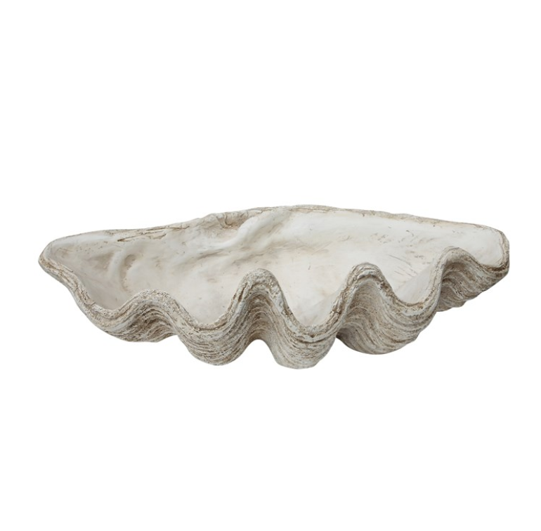 Magnesia Seashell Decor Piece