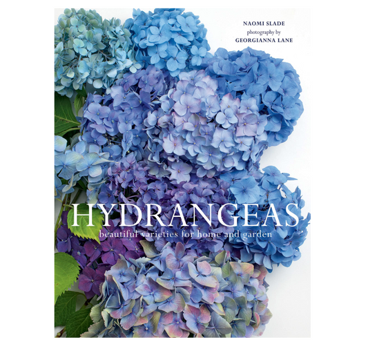 Hydrangeas