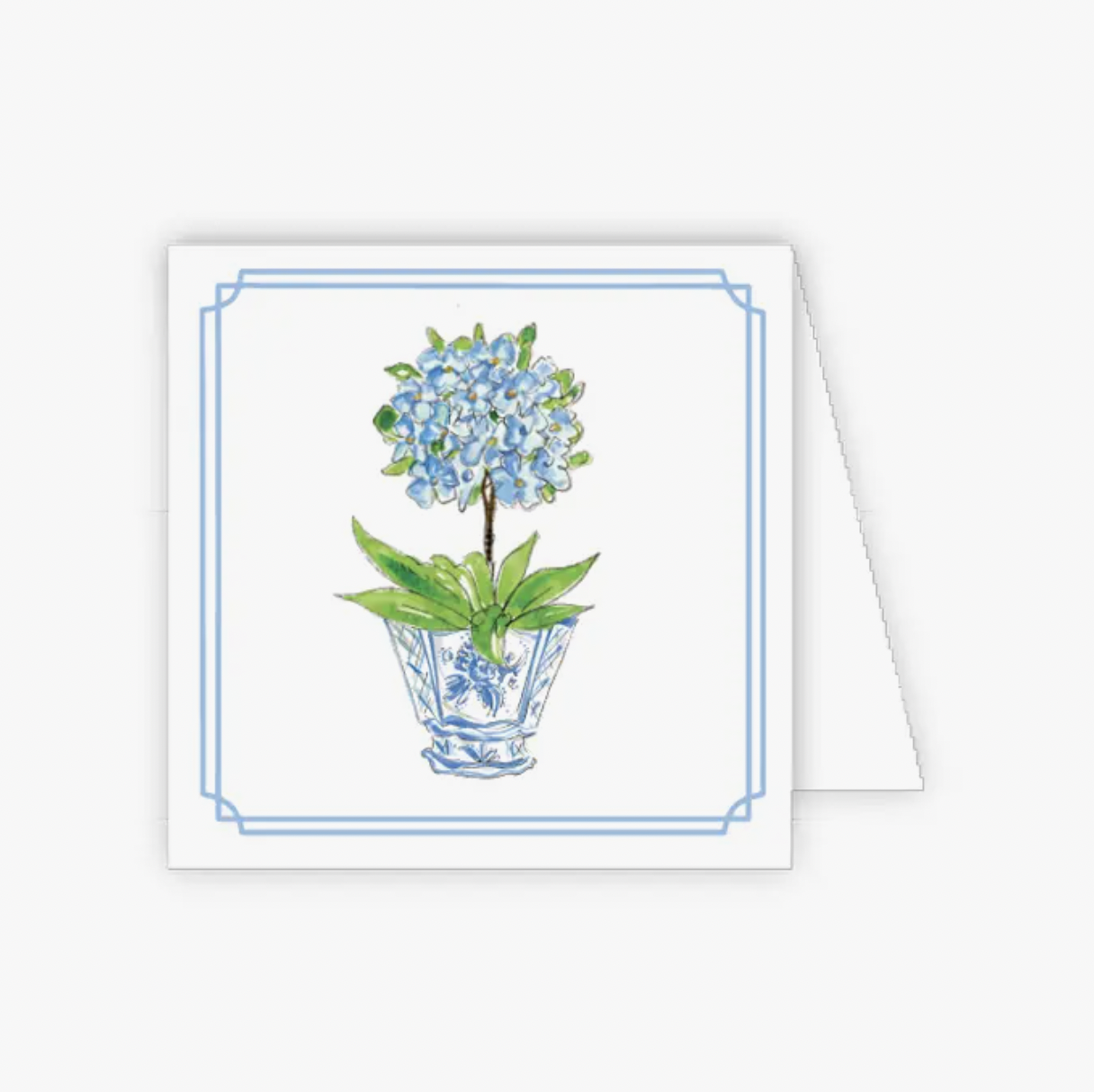 Blue Primrose in Cashe Pot Enclosure Card