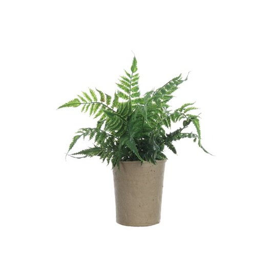Faux Fern in Paper Pot